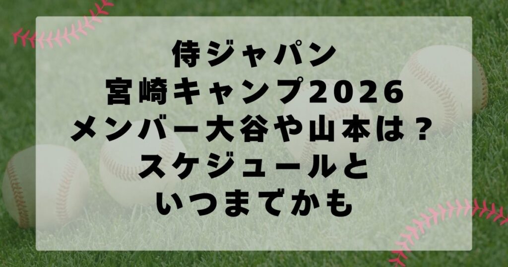 活動歴および当時の関連ビジュアル記録